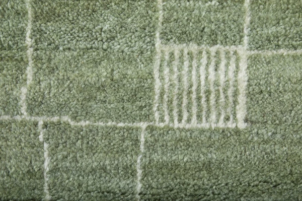 Feizy Agape 69HBF Green Ivory Area Rug