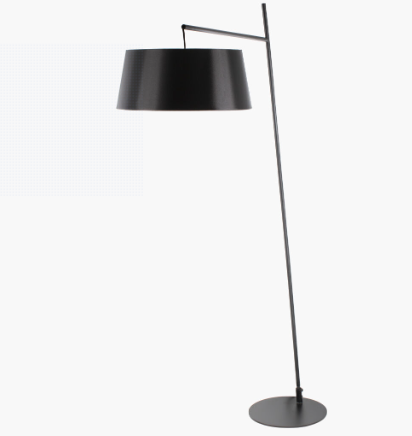 Surya Astro AST-001 Accent Floor Lamp