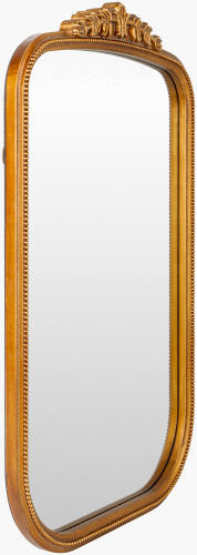 Surya NRE-002 Arrendale Accent Mirror