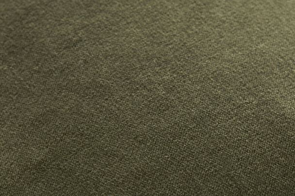 Loloi Liza PCJ0020 Green Pillow