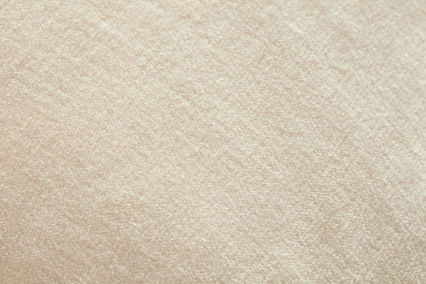 Loloi Liza PCJ0020 Ivory Pillow