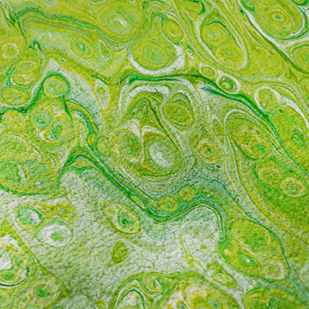 Addison Mayfield AMF50 Clover Rug