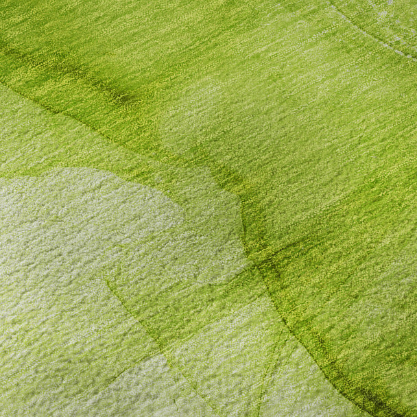 Addison Mayfield AMF507 Green Rug