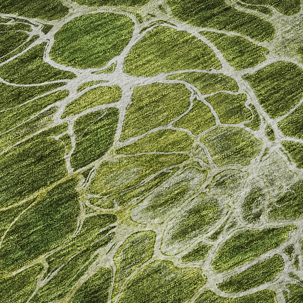 Addison Mayfield AMF652 Olive Rug