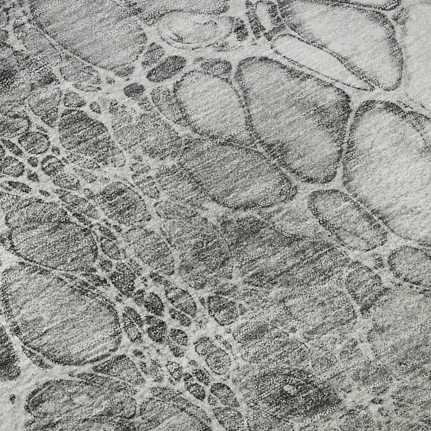 Addison Mayfield AMF707 Gray Rug