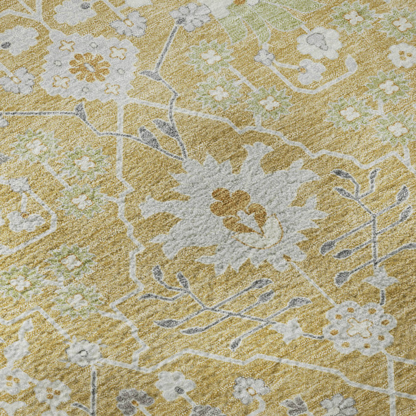 Addison Mayfield AMF1009 Gold Rug