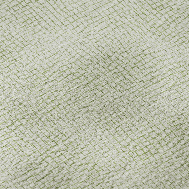 Addison Mayfield AMF1058 Aloe Rug
