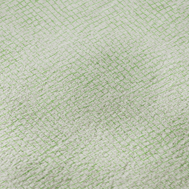 Addison Mayfield AMF1058 Mint Rug
