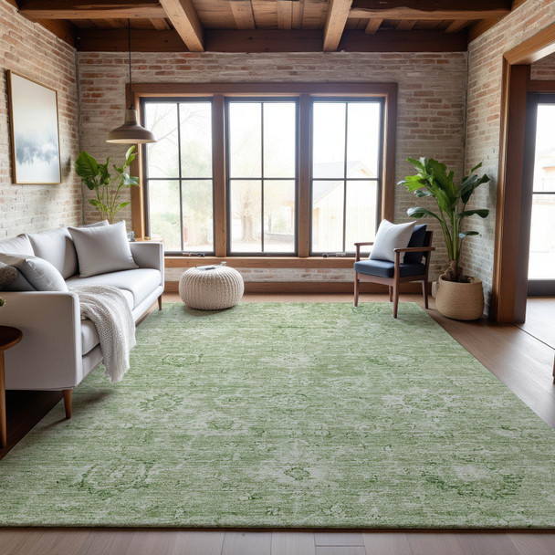 Addison Mayfield AMF1089 Aloe Rug