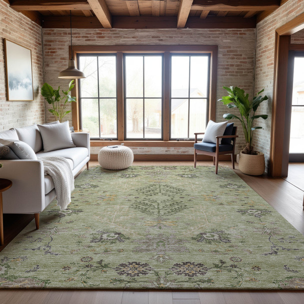 Addison Mayfield AMF1156 Aloe Rug