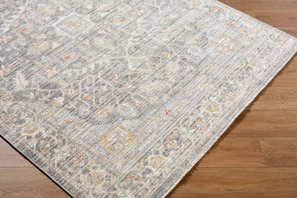 Livabliss Amir AMR-2303 Rug