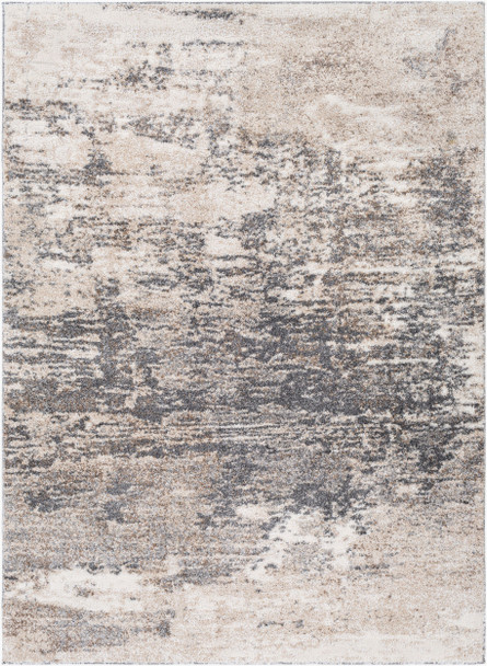 Livabliss Andorra ARD-2305 Rug