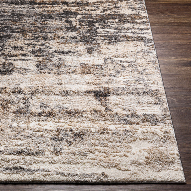 Livabliss Andorra ARD-2305 Rug