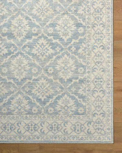 Livabliss Aram NBAR-2305 Rug