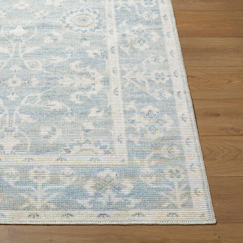 Livabliss Asha NBAS-2302 Rug