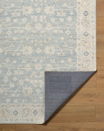 Livabliss Asha NBAS-2304 Rug
