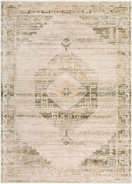 Livabliss Fifth Avenue FIF-2307 Rug