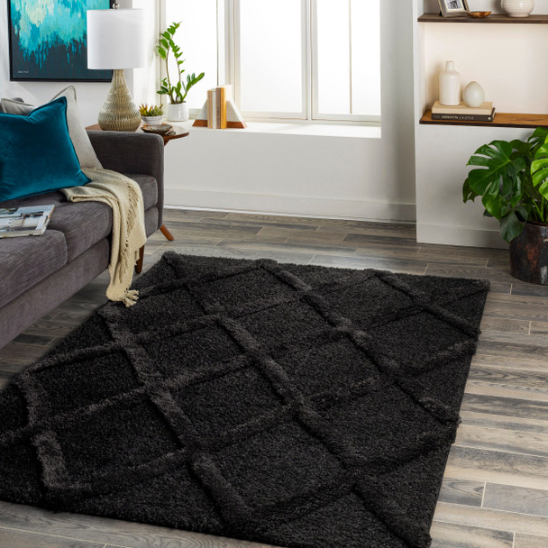 Livabliss Hudson Shag HDS-2300 Rug