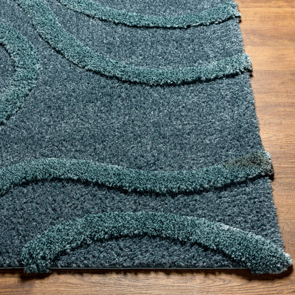 Livabliss Hudson Shag HDS-2304 Rug