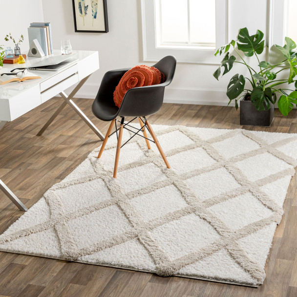 Livabliss Hudson Shag HDS-2306 Rug