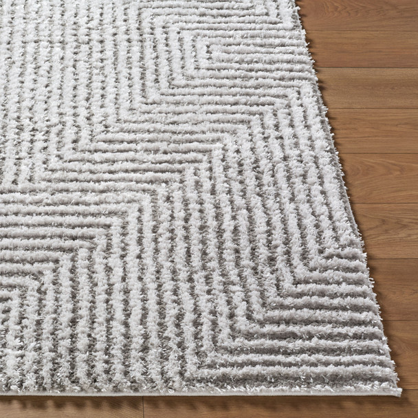 Livabliss Nomadic NMC-2325 Rug
