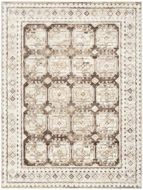 Nourison Dekor DEK01 Ivory Brown Rug