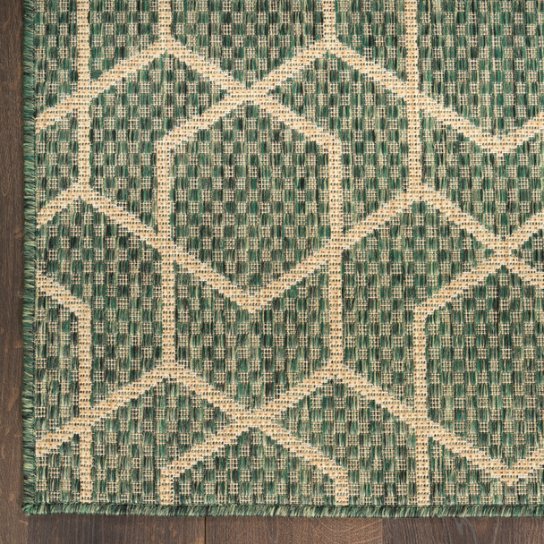 Nourison Horizon Indoor/Outdoor HOZ01 Green Rug