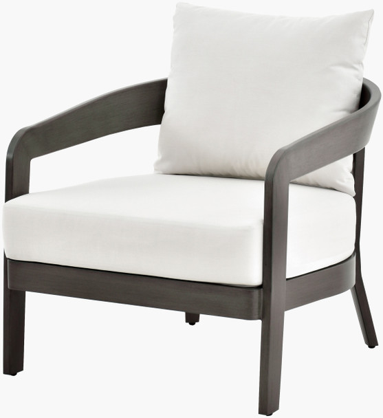 Surya Daniella DANE-001 Accent Chair