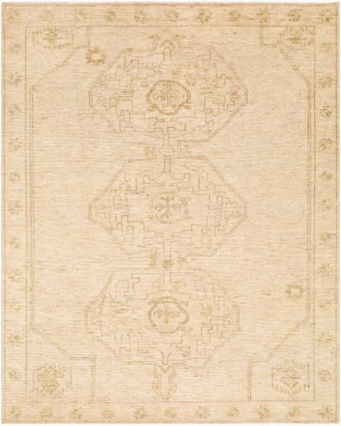 Surya Destiny DEY-2301 Rug