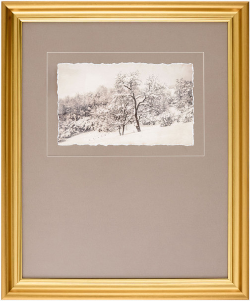 Surya Coconino COCO-002 Framed Art