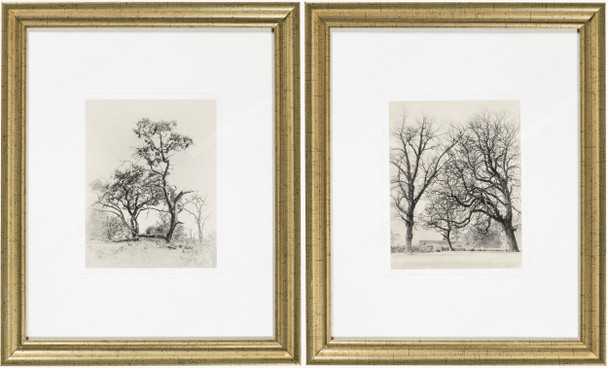 Surya Coconino COCO-003 Framed Art