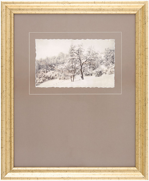 Surya Coconino COCO-004 Framed Art