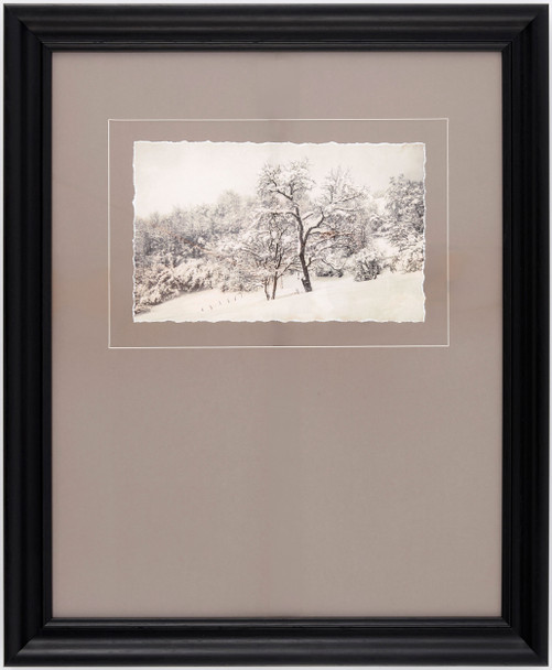 Surya Coconino COCO-006 Framed Art
