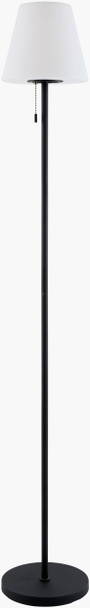 Livabliss Selune SLUN-001 Accent Floor Lamp