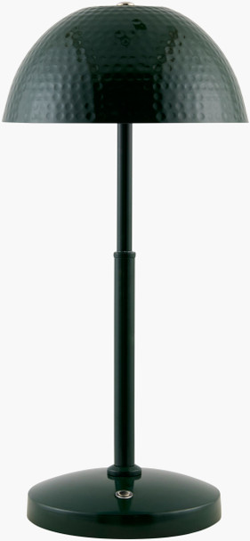 Livabliss Elvas ELV-003 Accent Table Lamp