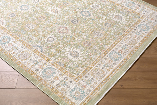 Livabliss Amir AMR-2306 Rug