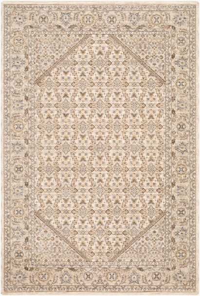 Livabliss Arda ACZ-2315 Rug