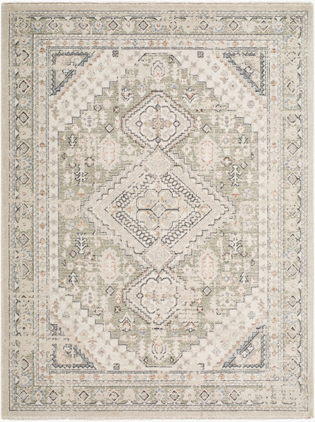 Livabliss Lausanne LNN-2301 Rug
