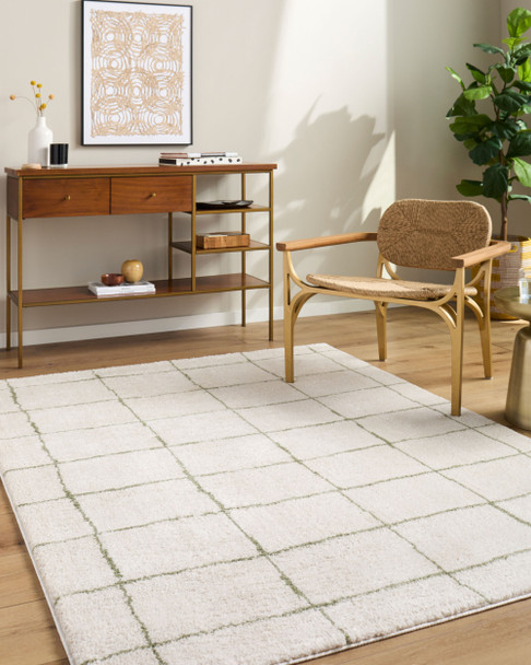 Livabliss Rivoli EDRV-2301 Rug