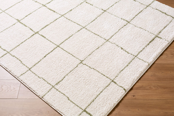 Livabliss Rivoli EDRV-2301 Rug