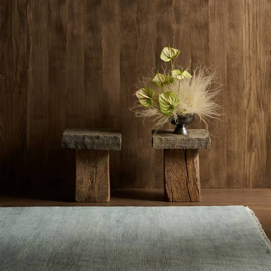 Jaipur Living Saga SAG19 Rug