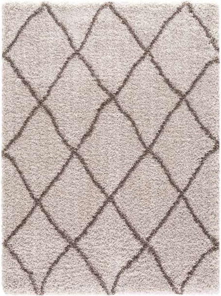 Concord Ocean Shag 0211 Trellis Beige Area Rug
