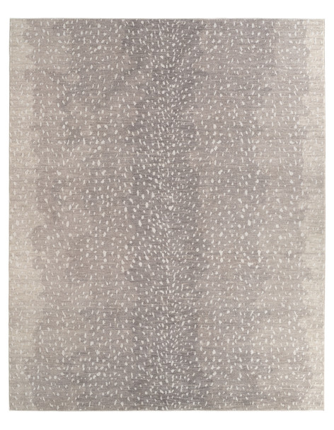 Jaipur Living Paro PVY06 Gray Rug