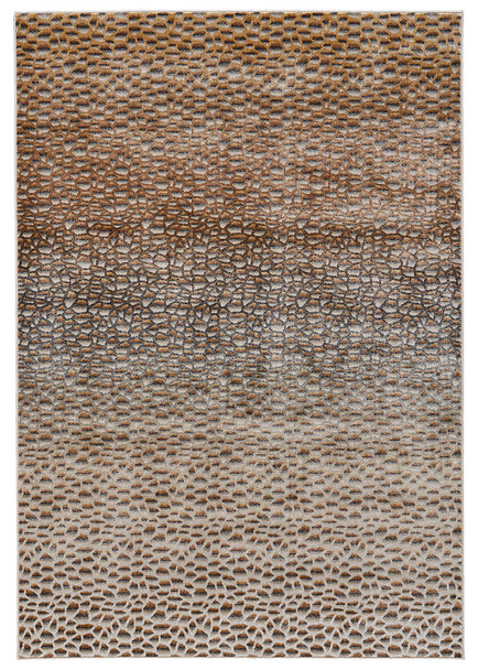Feizy Cannes 3686F Brown Gold Rug