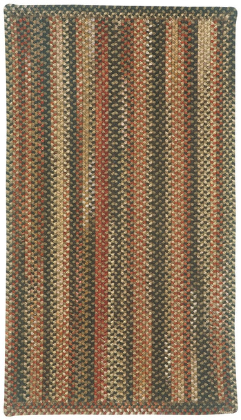 Brown Hues Manchester Rug by Capel