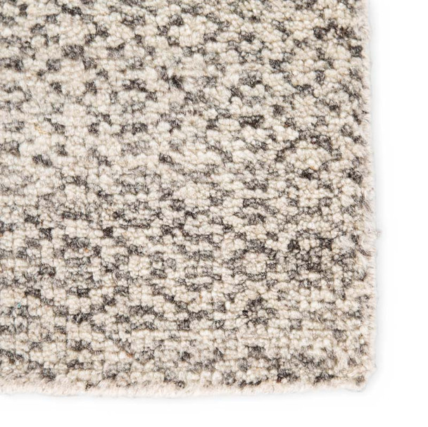 Jaipur Living Rize RIZ02 Rug
