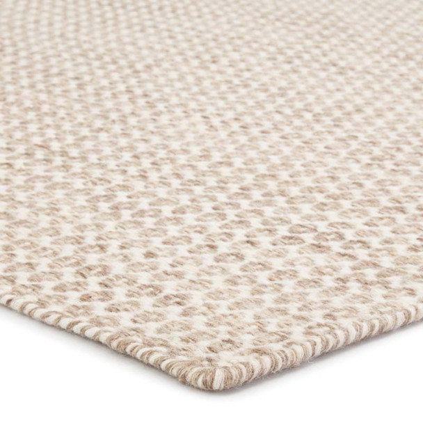 Jaipur Living Enclave ENC04 Pompano Rug