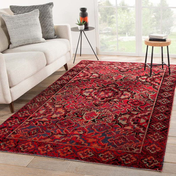Jaipur Living Polaris POL21 Chaya Rug