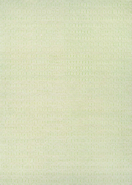 Couristan Cottages Southport 4960/0731 Green Rug