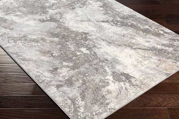 LivaBliss Allegro ALG-2336 Rug